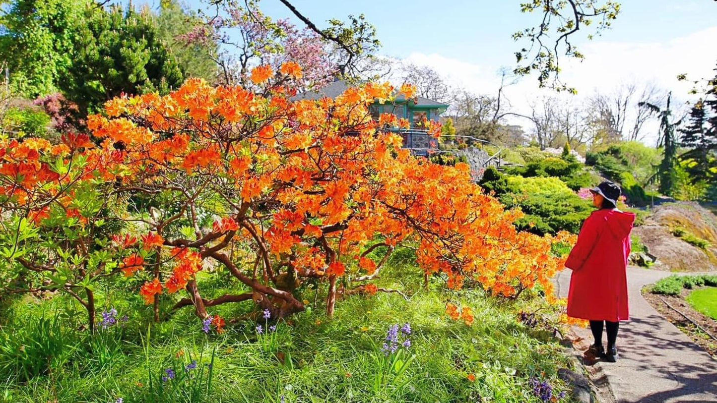 Victoria BC | 4hr Summer Garden Lover’s Private Tour - Olynpix Tours & Transportation
