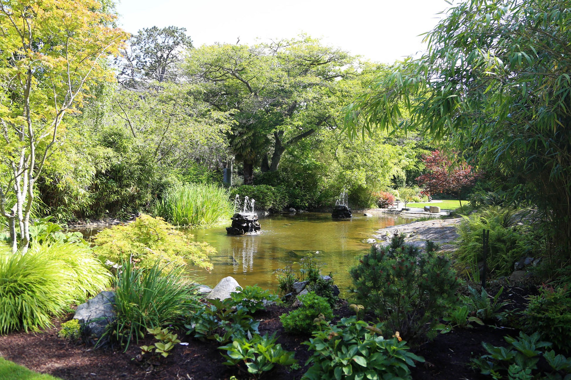 Victoria BC | 4hr Summer Garden Lover’s Private Tour - Olynpix Tours & Transportation