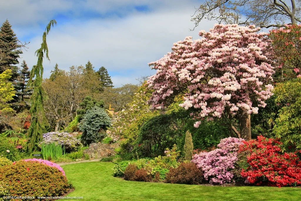 Victoria’s Garden Lover’s Private Tour - Olynpix Tours & Transportation