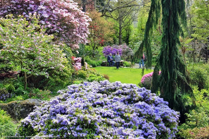 Victoria’s Garden Lover’s Private Tour - Olynpix Tours & Transportation