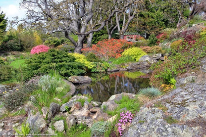 Victoria’s Garden Lover’s Private Tour - Olynpix Tours & Transportation