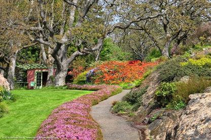 Victoria’s Garden Lover’s Private Tour - Olynpix Tours & Transportation