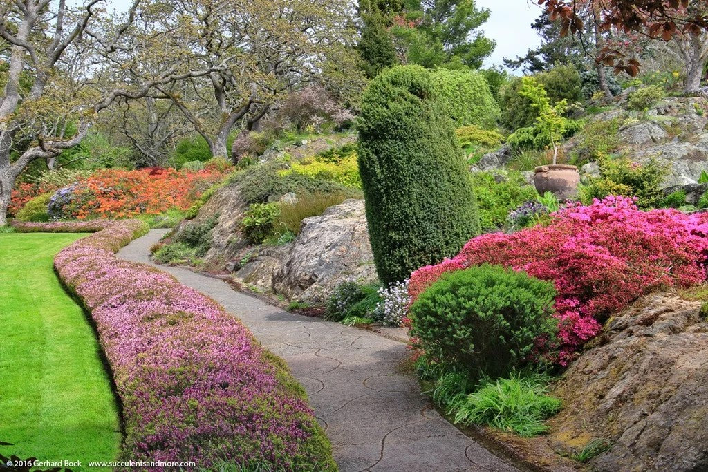 Victoria BC | 7hr Garden Lover’s Private Tour- Olynpix Tours & Transportation