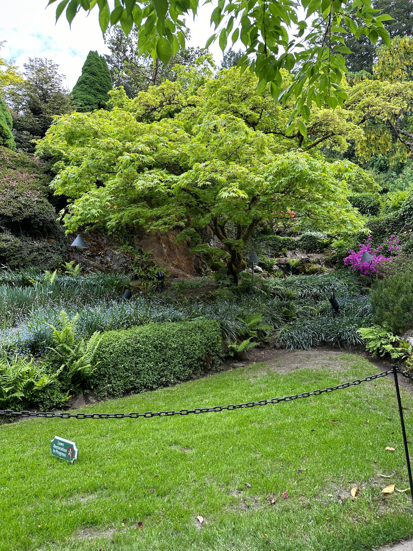 Victoria BC | 7hr Garden Lover’s Private Tour - Olynpix Tours & Transportation