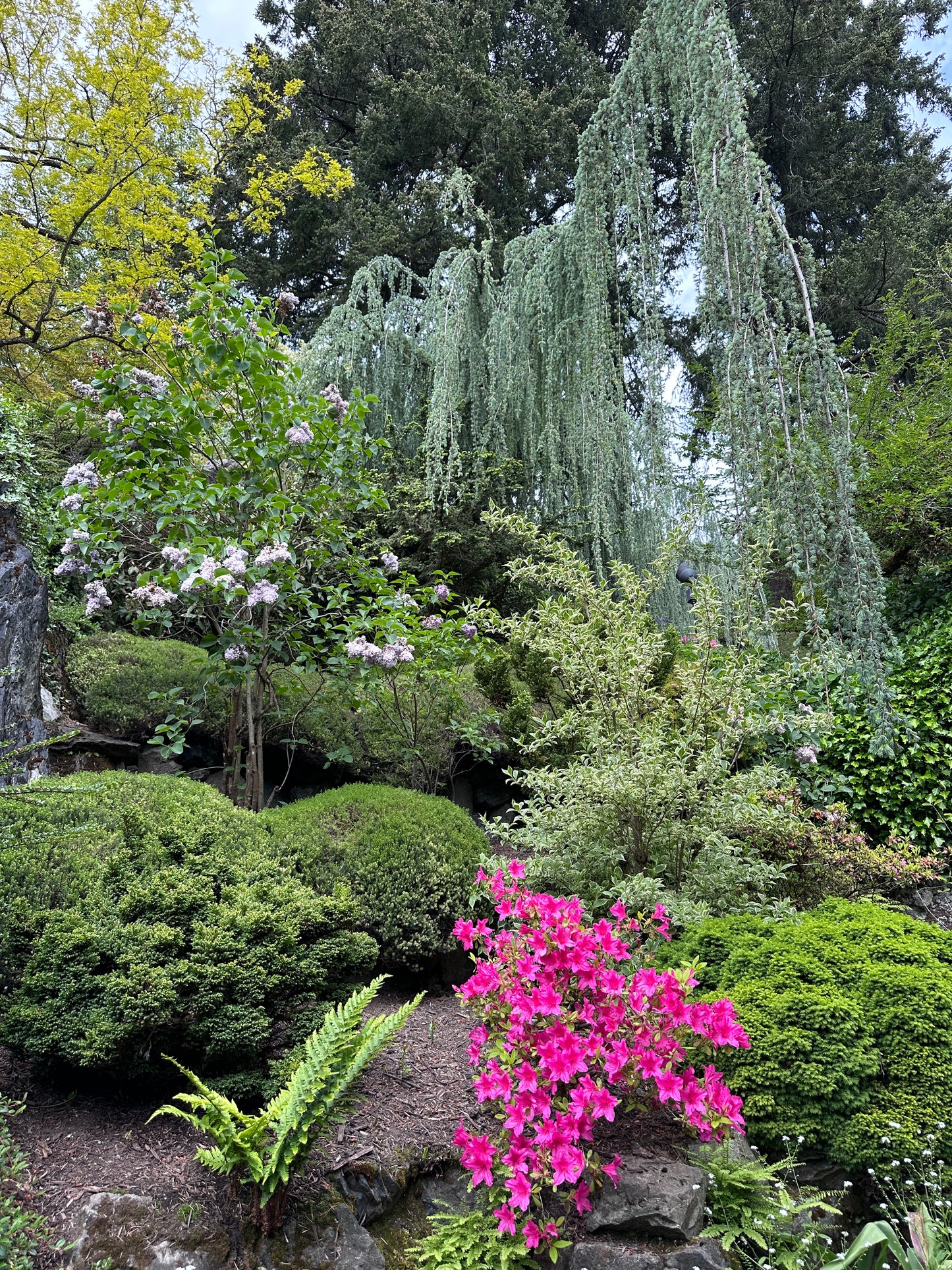 Victoria’s Garden Lover’s Private Tour - Olynpix Tours & Transportation