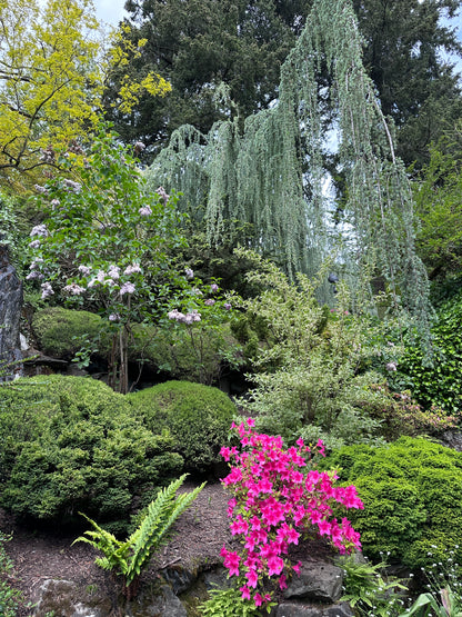 Victoria’s Garden Lover’s Private Tour - Olynpix Tours & Transportation