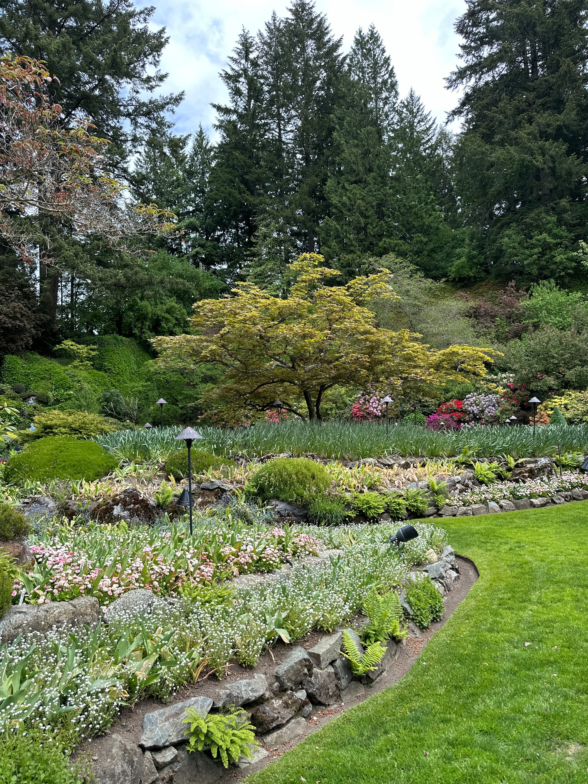 Victoria’s Garden Lover’s Private Tour - Olynpix Tours & Transportation