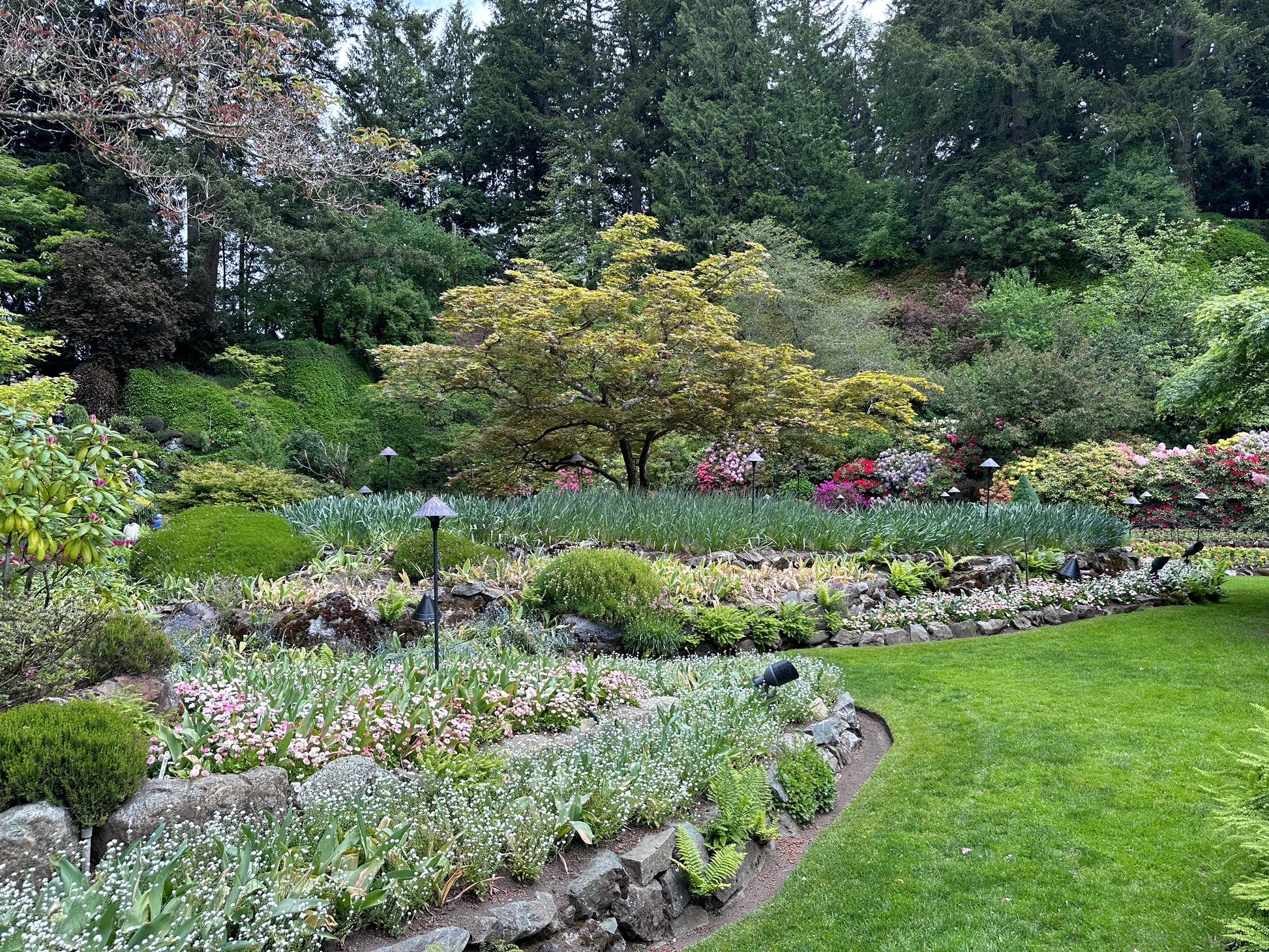 Victoria BC | 7hr Garden Lover’s Private Tour- Olynpix Tours & Transportation