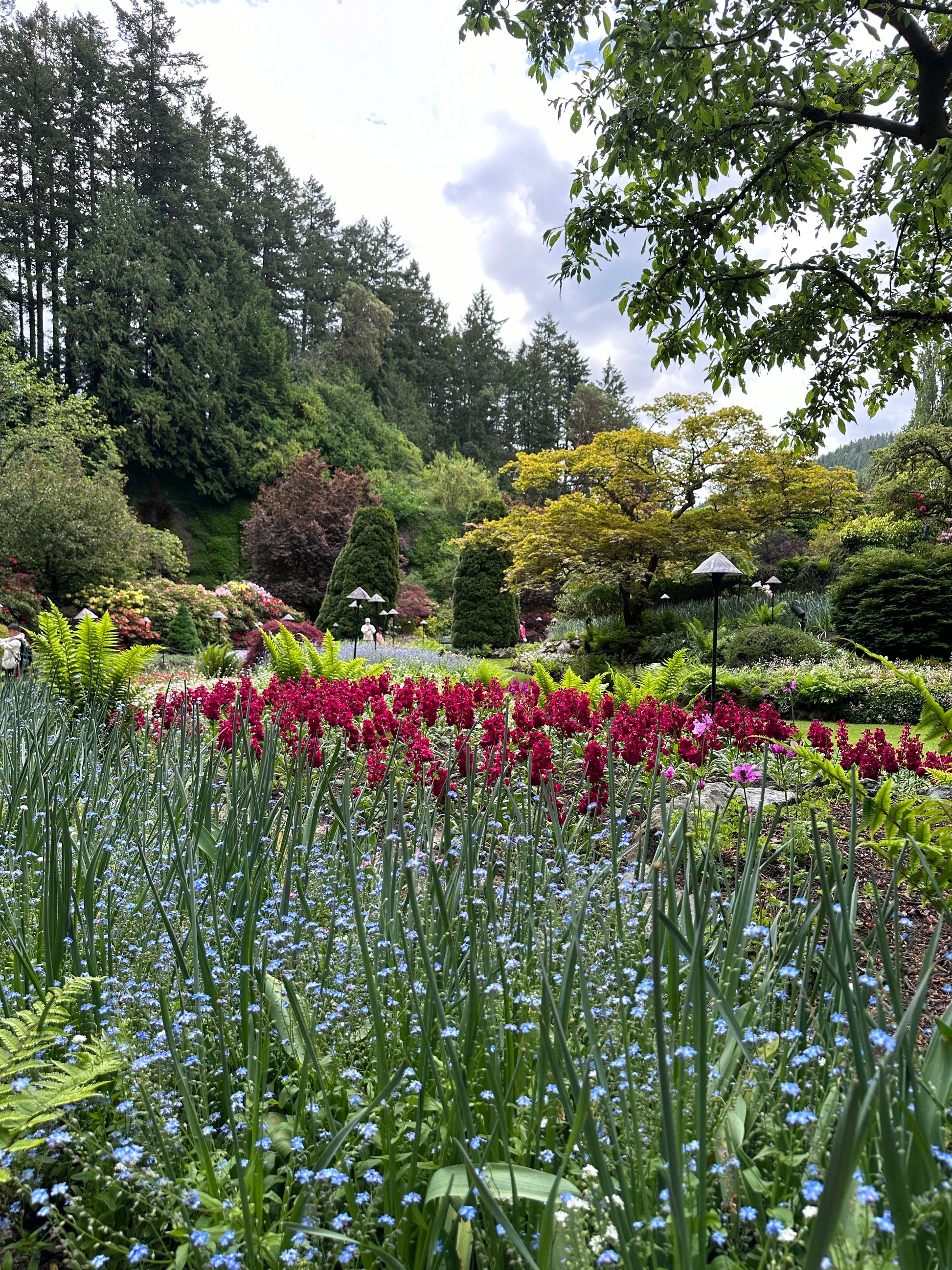 Victoria BC | 4hr Butchart Gardens & City Private Tour - Olynpix Tours & Transportation