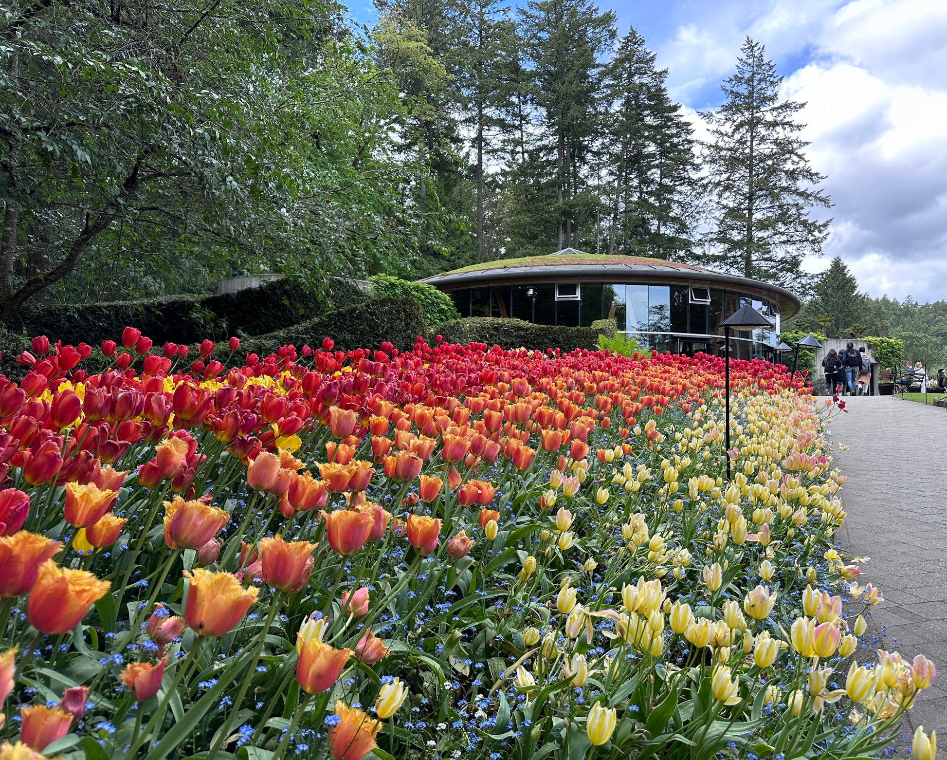 Victoria BC | 4hr Butchart Gardens & City Private Tour - Olynpix Tours & Transportation