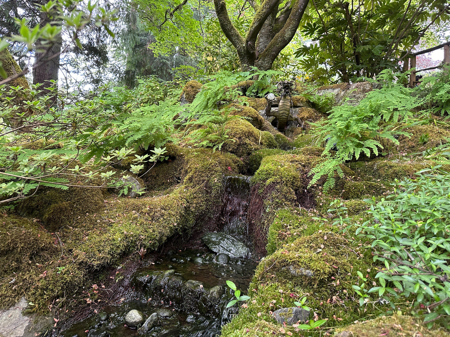 Victoria’s Garden Lover’s Private Tour - Olynpix Tours & Transportation