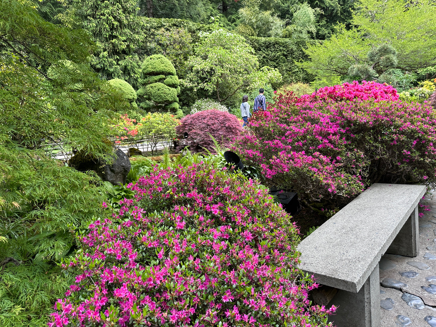 Victoria BC | 7hr Garden Lover’s Private Tour - Olynpix Tours & Transportation