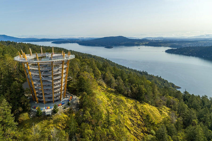 Victoria's Malahat Skywalk & Hatley Castle Private Tour - Olynpix Tours & Transportation