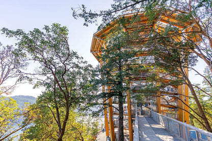 Victoria's Malahat Skywalk & Hatley Castle Private Tour - Olynpix Tours & Transportation