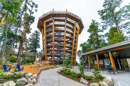 Victoria's Malahat Skywalk & Hatley Castle Private Tour - Olynpix Tours & Transportation