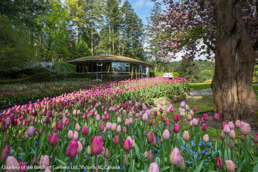 Victoria’s Garden Lover’s Private Tour - Olynpix Tours & Transportation